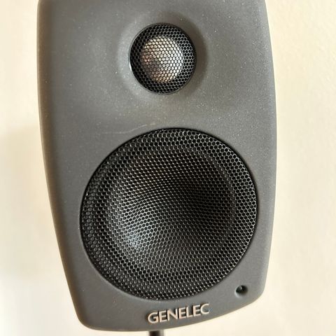 Genelec 6010A Studio Monitor