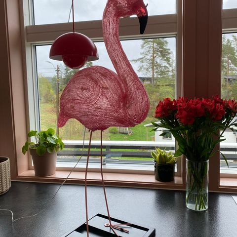 Kul Flamingo med LED-lys søker nytt hjem!