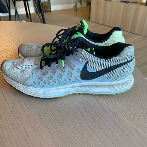 Nike zoom pegasus 31