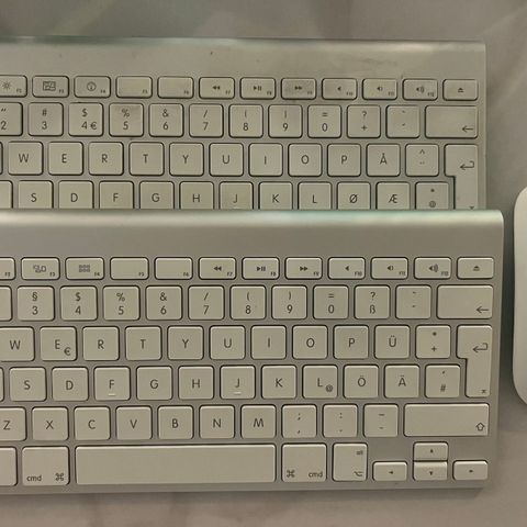 Tastatur og Mus Apple