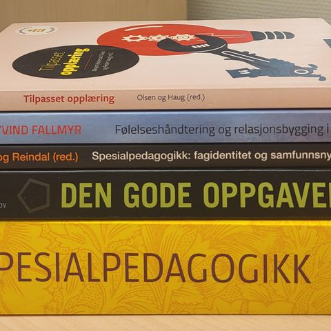 Bøker spes.ped , tilpasset opplæring , oppgaveskriving, master