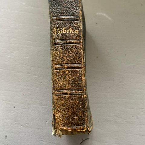 Bibel fra 1905