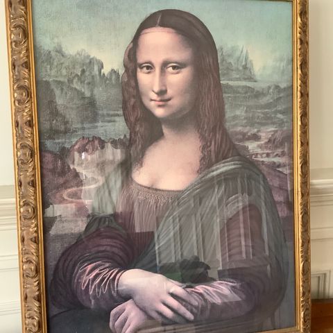 Bilde av Mona Lisa