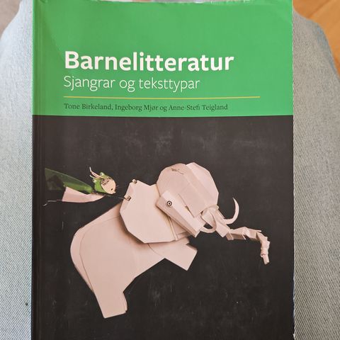 Barnelitteratur, sjangrar og teksttypar