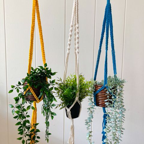 Plant hanger / ample blomster / interiør dekorasjon