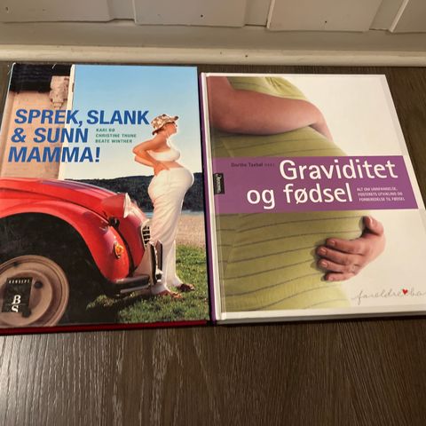 2 bøker om graviditet / mammaliv