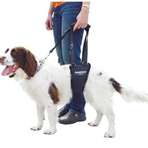 Gingerlead støttesele/support harness