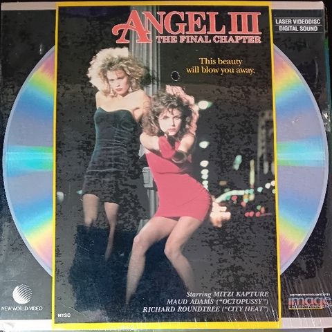 LASERDISC: ANGEL 3: THE FINAL CHAPTER