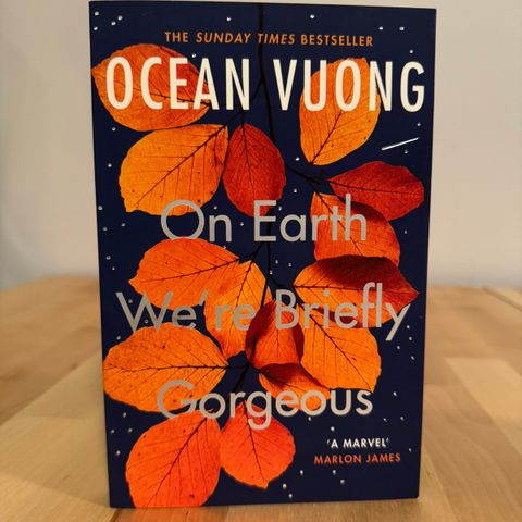 Ulest bok: «On Earth We’re Briefly Gorgeous» av Ocean Vuong