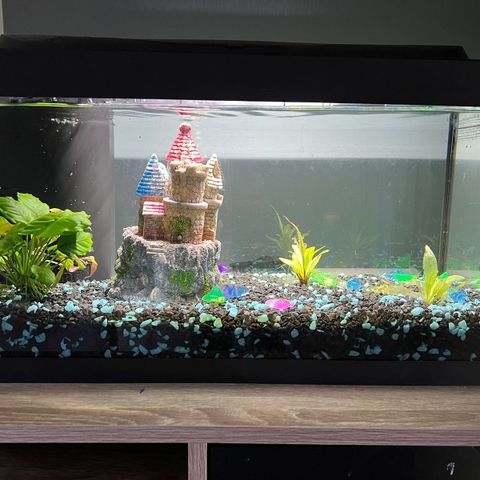 Tetra akvarium 54 liter