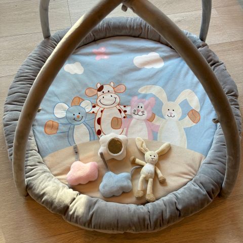 Babygym fra Teddycompaniet