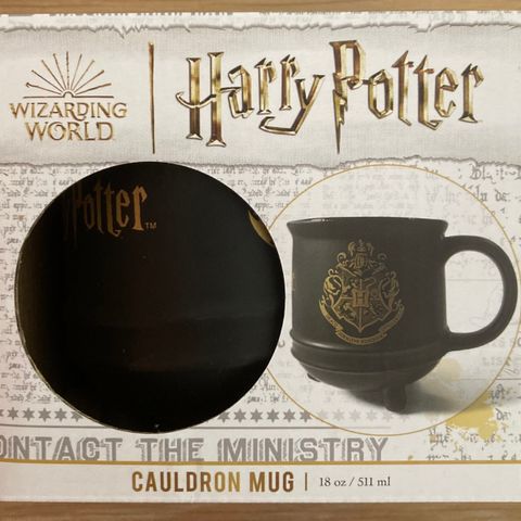 Harry Potter cauldron mug