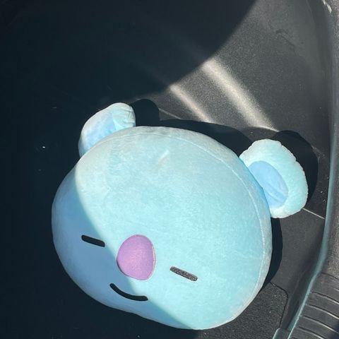 BT21 Koya pute