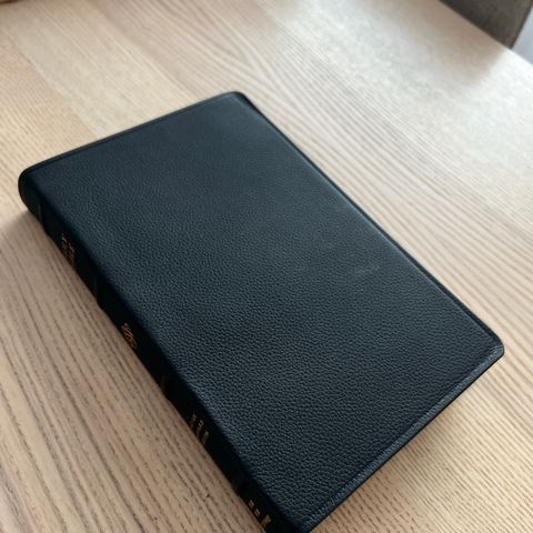 ESV Leather Thinline Bible