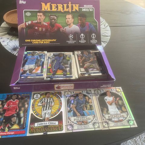 Merlin UEFA trading cards