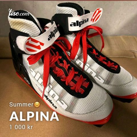 Alpina summer