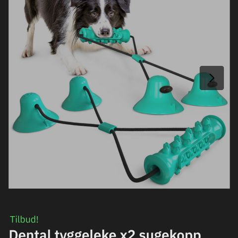 Dental tyggeleke med to sugekopper