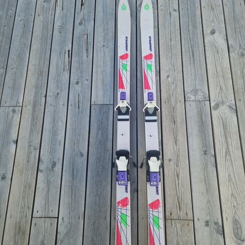 Slalomski