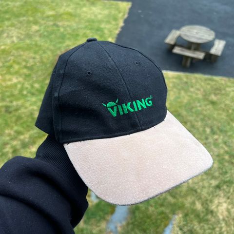 Retro Viking caps