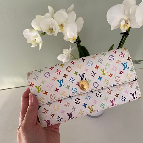 Louis Vuitton Multicolor Wallet