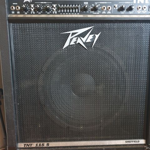 Peavey TNT 115S