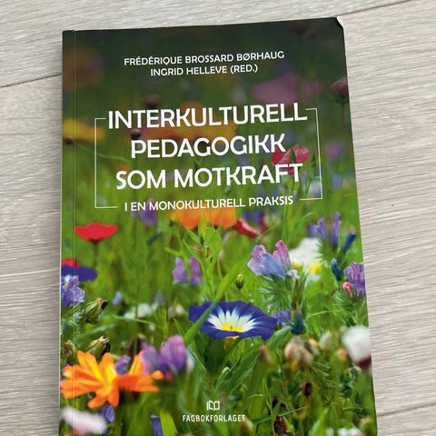 Interkulturell pedagogikk som motkraft