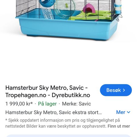 Hamster bur