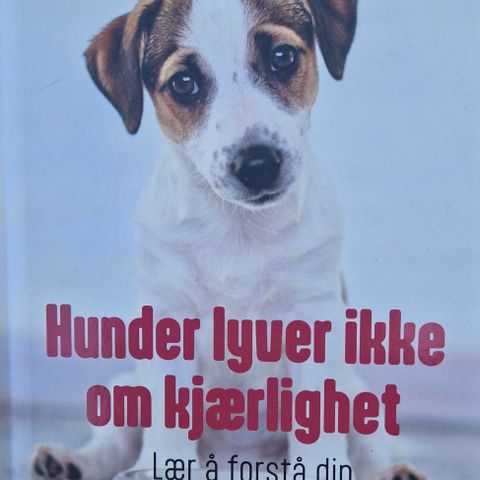 Hunder lyver ikke om kjærlighet