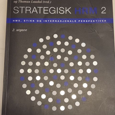 Strategisk HRM 2