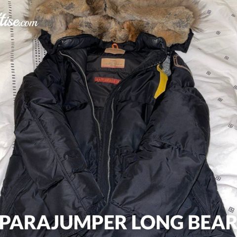 Parajumper longbear