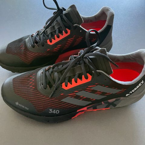 TERREX AGRAVIC FLOW 2.0 GORE-TEX TRAIL RUNNING SHOES