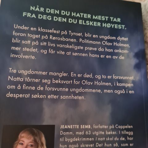 Bygdekrim " I natt skal du dø"  og " Det hun så" av Jeanette Semb.