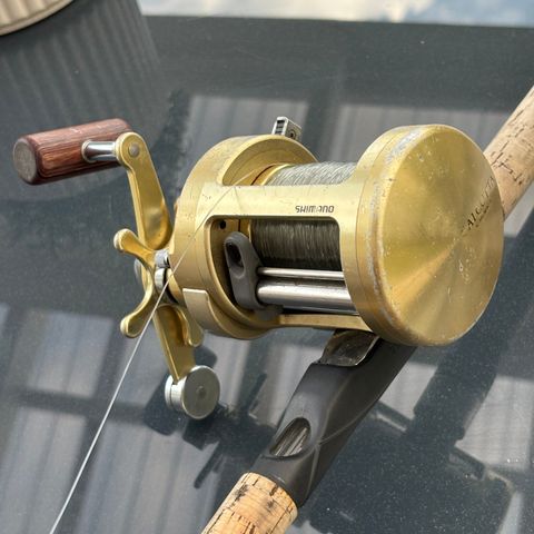 Shimano Calcutta 700