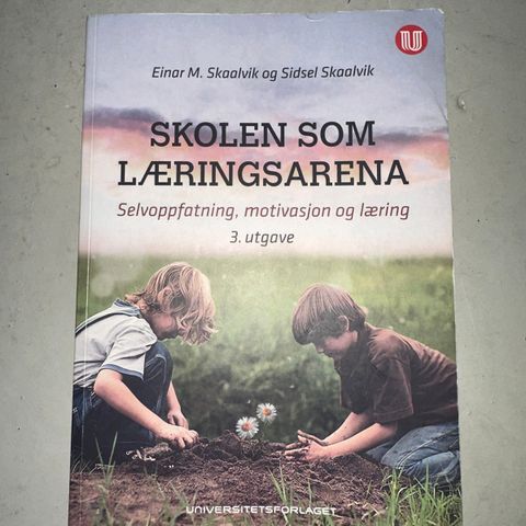 Skolen som læringsarena