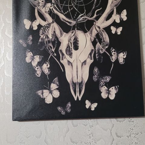 Deer Skull With Butterflies