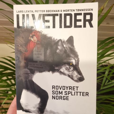 Ulvetider - rovdyret som splitter Norge.