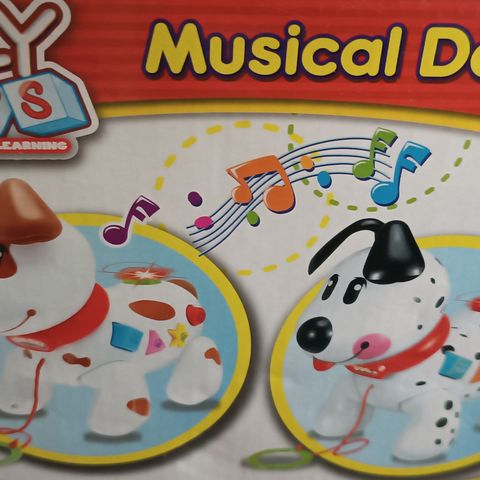 NY musical dog