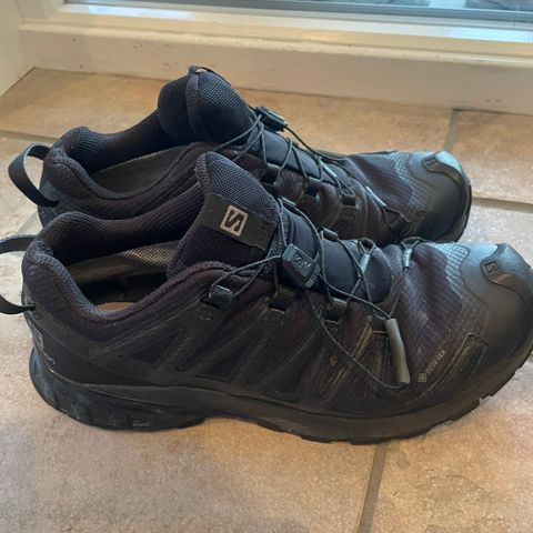 Salomon Goretex sko