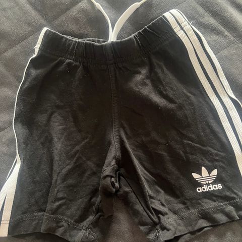 Adidas shorts