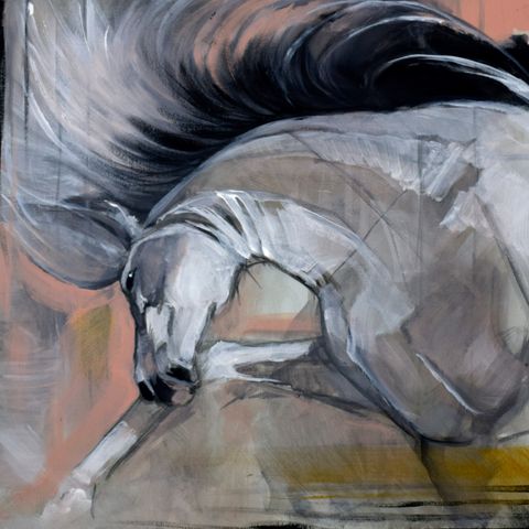 Equine serie , originalt akrylmaleri 50x40cm