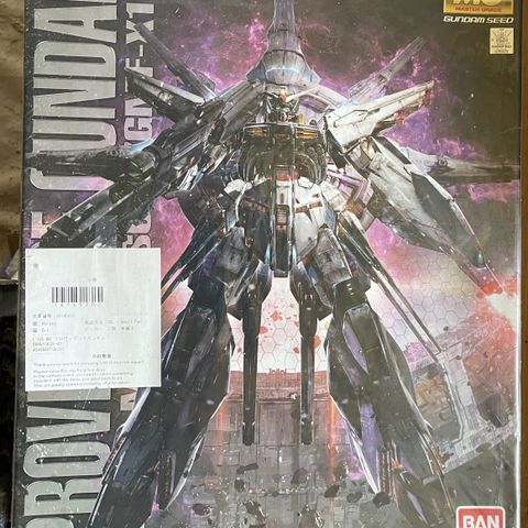 MG 1/100  Providence Gundam