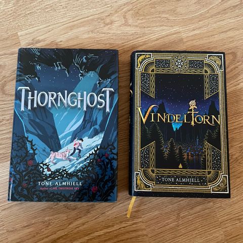 (Fantasy) Tornghost og vindeltorn av Tone Almhjell