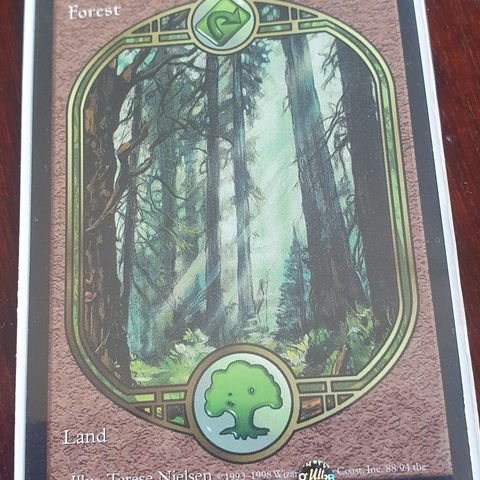 Magic the gathering kort. Forest