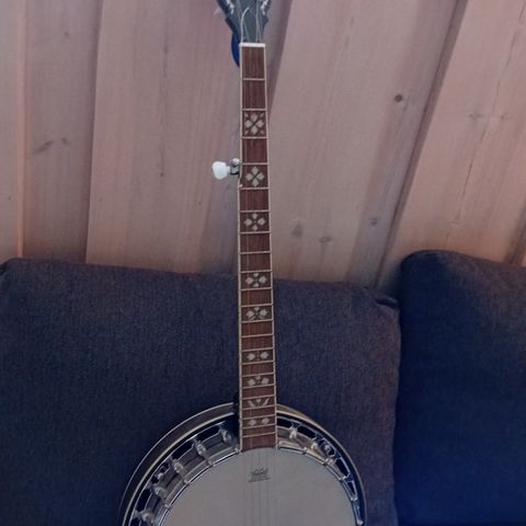 Morgan Banjo