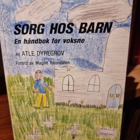 Sorg hos barn - en håndbok for voksne av Atle Dyrgrov