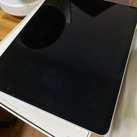 iPad 12,9 4th gen 256GB grå