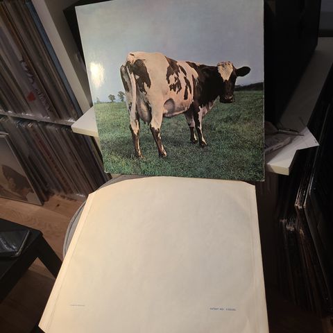 Pink Floyd atom heart mother