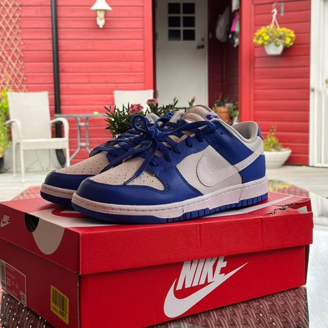 Nike dunk low race blue (44)