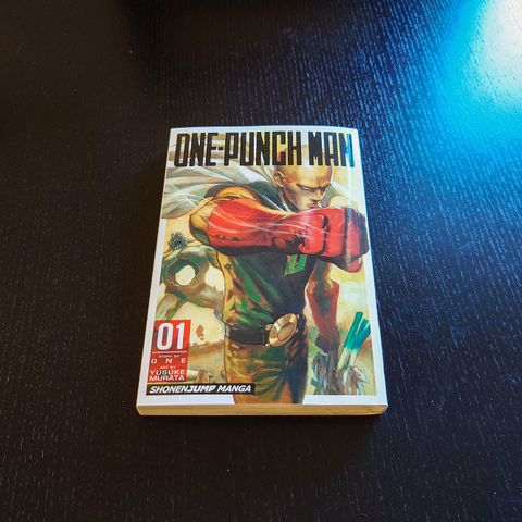 One-Punch Man Volume 1