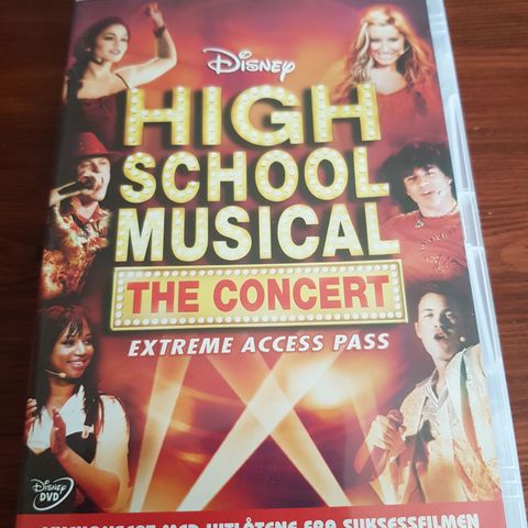 Disney High School Musical the concert